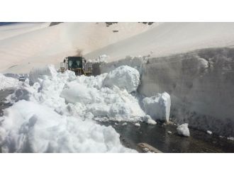 Nisanda karla mücadele