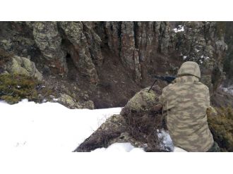 Kars’ta çatışma: 5 terörist öldürüldü