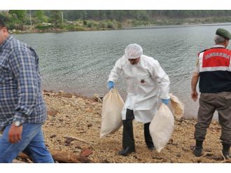 10 ay önce kaybolmuştu ancak...