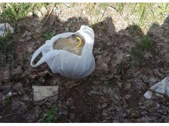 Çocukların bulduğu paketten bomba çıktı