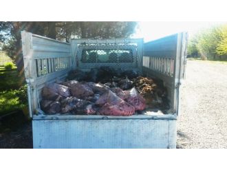 Yakalanmasa sofralardaydı: tam 1 ton...