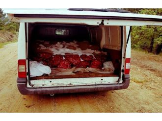 1 ton 825 kilogram canlı midye !