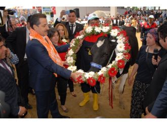 İşte şampiyon: "Hadise"