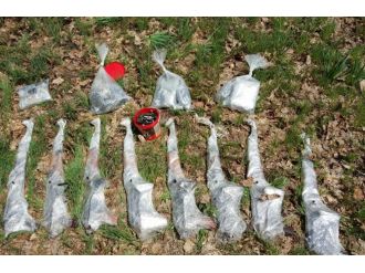 Teröristler kırsalda da perişan ediliyor