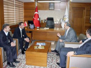 Mecnun Odyakmaz Hasret Gideriyor
