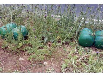 Güvenlik güçlerinin gözünden kaçmadı!