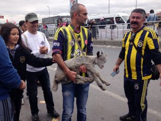 Bakırköy’de renkli görüntüler