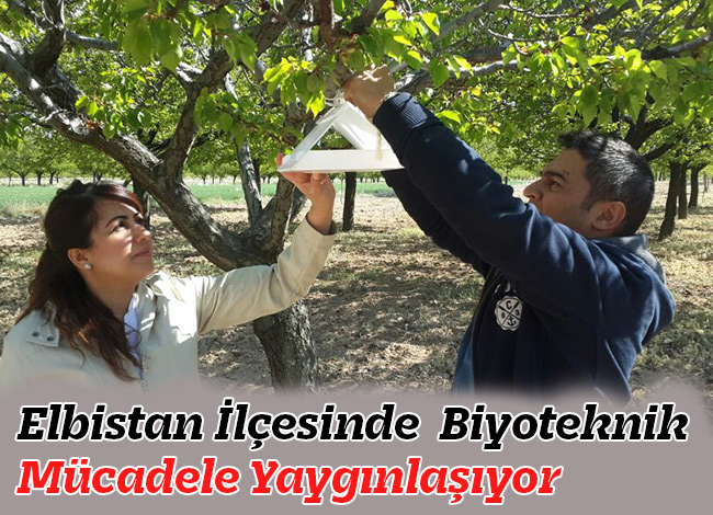 Elbistan İlçesinde Biyoteknik Mücadele Yaygınlaşıyor