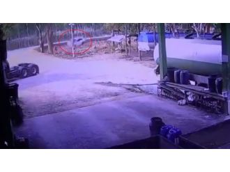 Yoldan çıkan araç ağaca uçtu !