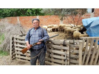 Köylüler eli tetikte bekliyor !