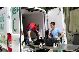 Ölüm onu konteyner kentte buldu !