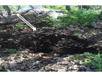 Bingöl’de PKK’ya ait üç depo bulundu.