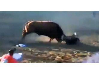 Boğanın elinden dakikalarca kimse alamadı