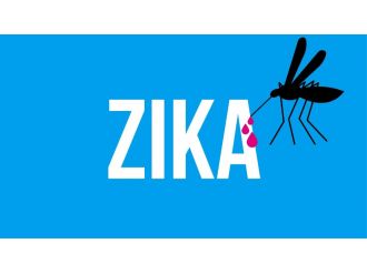 İspanya’da "zika" paniği