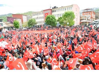 Muş’ta ’Teröre Lanet, Kardeşliğe Davet’ yürüyüşü