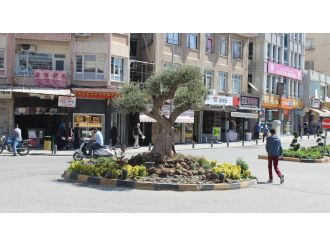 Kilis’te hayat normale dönüyor