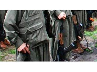 İsveç’te PKK’nın terör listesinden çıkarılması istendi