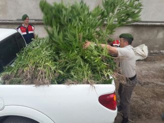 ZEHİR TACİRLERİNE BÜYÜK DARBE