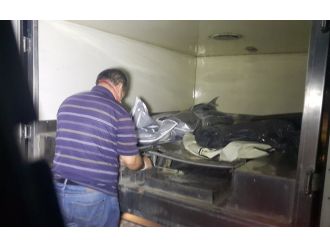 Ağaca asılı halde bulundu !