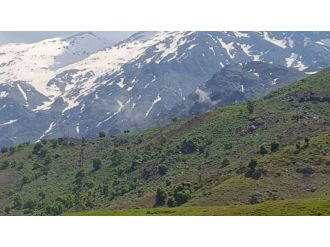 PKK hedefleri ateş altında