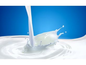 180 bin ton çiğ süt, süt tozuna dönüştürülecek