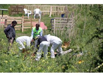 Samsun’da kan donduran cinayet