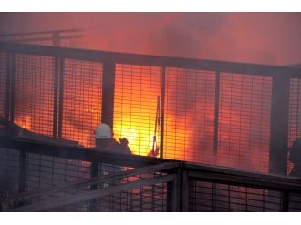 Meyve halinde korkutan yangın