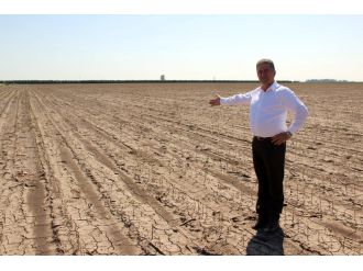 Tarım arazilerini dolu vurdu