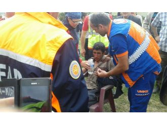 Mantar yiyerek hayatta kalmış