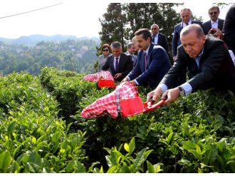 Erdoğan çay kesti