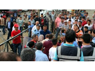 Boğa arenası ringe döndü