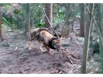 Bu fotoğraf Denizli’de çekildi