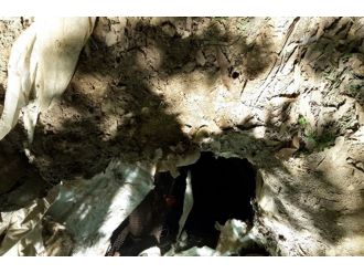 PKK’ya darbe üstüne darbe