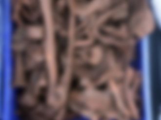 Kafası olmayan iskelet bulundu