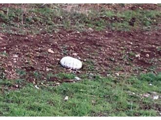 Barajda mayın patladı: 1 özel güvenlik yaralandı