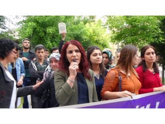 HDP’li vekil hakkında soruşturma