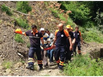 Katırı eve döndü, aile jandarmaya gitti, yaşlı adam kurtarıldı