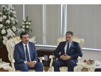 "Bu karar Almanya’nın kendi ayıbını örtme çabasıdır"