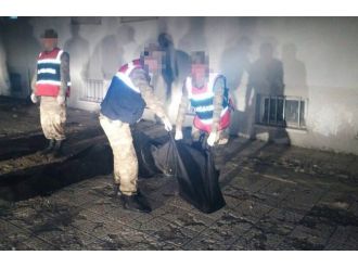 PKK’da örgüt içi infaz!