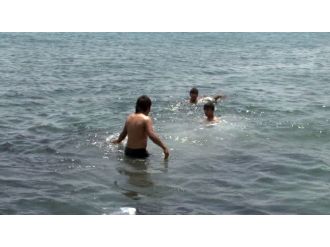 Suriyeli çocuklar hayat kurtardı