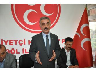 "Almanya’nın böyle bir uygulamaya dahil olmuş olması ibret vesikası"
