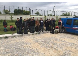 Tam 173 kaçak göçmen yakalandı