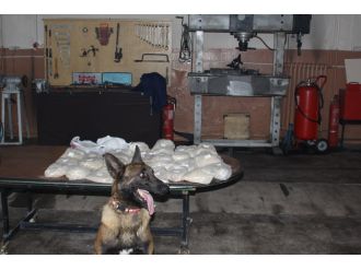 Kanas uyuşturucu tacirlerine geçit vermedi