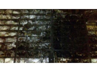 TIR yandı, 8 bin tavuk telef oldu