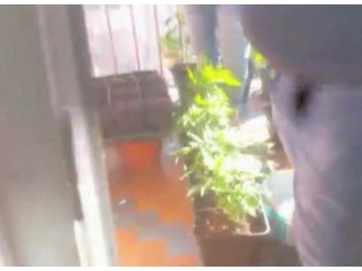 Lüks daireyi uyuşturucu serasına çevirmişler