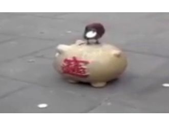 Gagasıyla para toplayıp kumbaraya atıyor