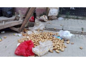 İki yıl önce kilosu 5 TL’ydi şimdi ise...