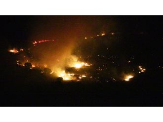 Alevler Bodrum’u sardı