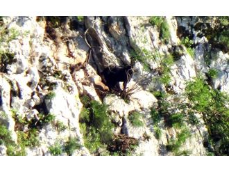 14 gündür kurtarılmayı bekliyor