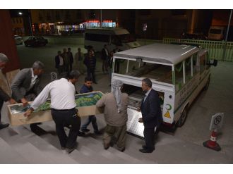 Komşuların köpek kavgası: 1 çocuk öldü, 2 çocuk yaralandı